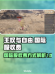 王权与自由国际服💰竟然免费？别错过🔥截图1