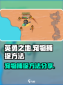 英勇之地🔥宠物捕捉秘籍💎玩家必看！