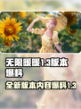 无限暖暖1.3爆料介绍介绍