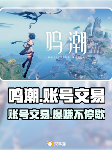 鸣潮账号交易平台🔥鸣潮的号怎么卖💰截图1