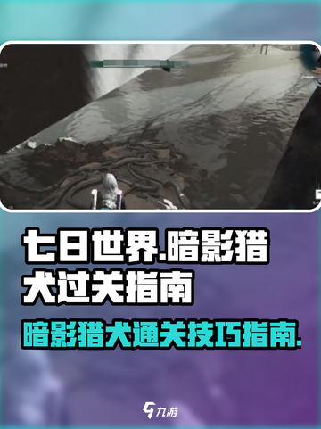 七日世界暗影猎犬🔥超强过关指南来啦！截图1