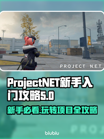 ProjectNET新手必看！👉玩法思路大公开🔥截图1