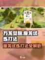 万龙觉醒🔥魔龙试炼打法超详细攻略🎉