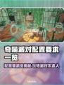 奇喵派对配置要求🔥低配电脑玩家必看！🎮