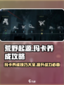 荒野起源玛卡养成攻略介绍