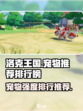 洛克王国手游宠物推荐介绍