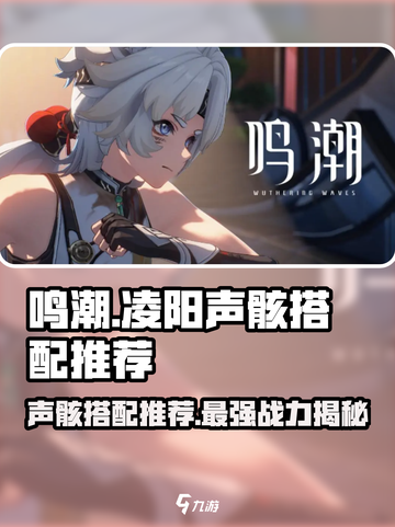 鸣潮🔥凌阳声骸最佳搭配🌟新手必看！截图1