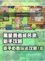 黑星勇者成名录攻略介绍