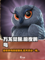 万龙觉醒暗夜鹏鸟怎么样介绍