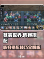 苍雾世界阵容怎么搭配介绍