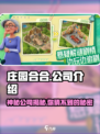 庄园合合🔥爆款游戏背后的公司秘密reveal！🎮