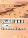 万龙觉醒🔥要塞建造选址全攻略！轻松制胜💎