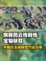 侠客风云传前传：羊脂白玉碗获取攻略💎
