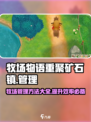 牧场物语重聚矿石镇牧场管理方法有哪些介绍