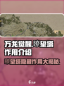 万龙觉醒瞭望塔🔥建筑作用全解析！新手必看👇