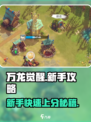 万龙觉醒🔥新手必看！快速上手攻略💡