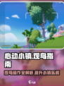 心动小镇观鸟操作攻略🔥超详细介绍！BirdWatching✨