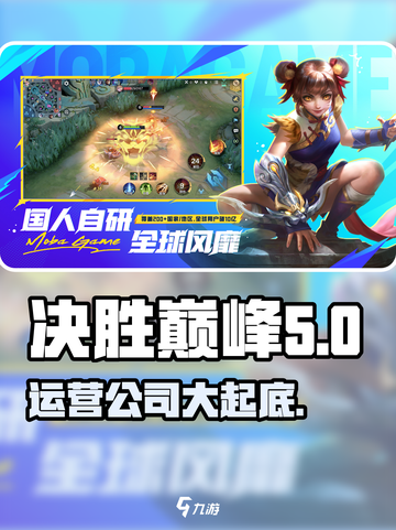 决胜巅峰哪个公司的介绍截图1