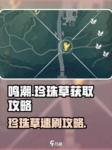 鸣潮⚡珍珠草速刷攻略💎玩家必看！截图1