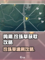 鸣潮⚡珍珠草速刷攻略💎玩家必看！