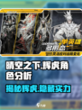 晴空之下辉虎介绍介绍
