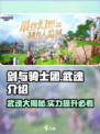 剑与骑士团武魂大起底🔥助你称霸游戏✨