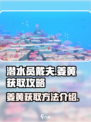 潜水员戴夫姜黄怎么获得介绍
