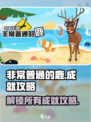 非常普通的鹿所有成就一览介绍