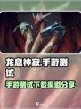 龙息神寂手游测试介绍介绍