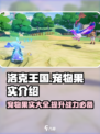 洛克王国手游宠物果实有哪些介绍