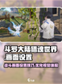 斗罗大陆猎魂世界战斗画面如何调整介绍