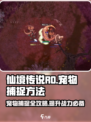 仙境传说RO新启航：宠物捕捉秘籍🔥快速上手！