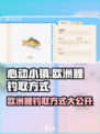 心动小镇🔥欧洲鲤钓取方式大揭秘！🐟