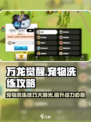 万龙觉醒🔥宠物洗练终极攻略💡注意事项全解析！