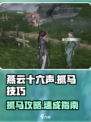 《燕云十六声抓马技巧大公开🐎》