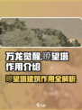 万龙觉醒🔥瞭望塔竟是逆天神器！游戏玩家必知👇