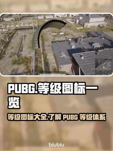 PUBG玩家必看🔥等级图标大揭秘！💎截图1