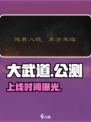 🔥《大武道》公测时间曝光！⚔