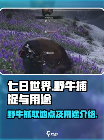七日世界野牛哪里抓介绍截图1