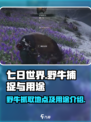 七日世界野牛哪里抓介绍