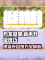 万龙觉醒升级攻略一览介绍