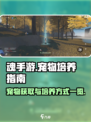 魂手游宠物怎么培养介绍