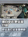 野火流明白中云强度超标🔥游戏体验感爆棚！