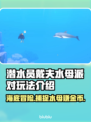 潜水员戴夫水母派对🔥游戏玩法大揭秘🎉