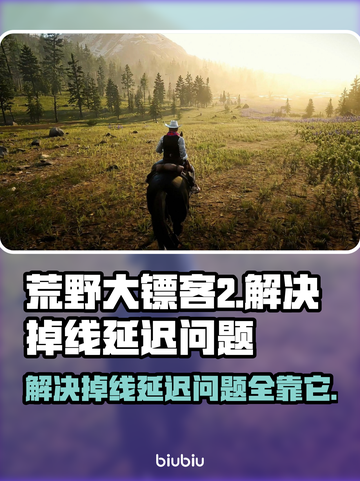 荒野大镖客2掉线延迟？用这个加速器🔥超稳！🚀截图1