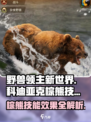 野兽领主新世界🔥科迪亚克棕熊技能效果超详细讲解！🐻