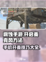 腐蚀手游版开麦咋开介绍