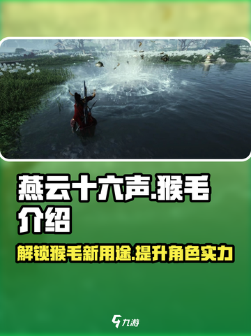 燕云十六声猴毛是什么介绍截图1