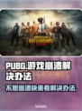 PUBG玩家必看！❌游戏崩溃解决办法大公开💥