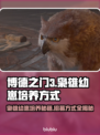 博德之门3🔥枭雄幼崽招募培养全攻略🎮